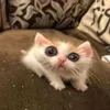 _fabi_08