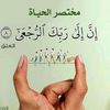 hshammthny