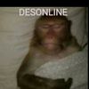 domingosnoite