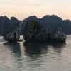 quang_anh345