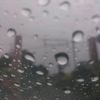 cindul_cindul