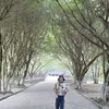 nguynnhung109