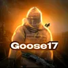 grgoose17