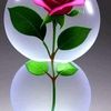 user2460919600546