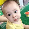 htan1511