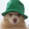 odykuro