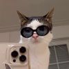 aquarius_kat