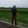 wahyusetioaji363