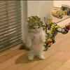 meowtheriz