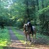 equestrain.zoe