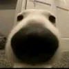 meobeodeptraii