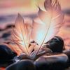 nwarh30