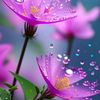 umme.mahiya
