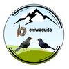 Augusto A.V.🐦‍⬛🐦‍⬛