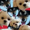 leeki_05