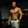 alex_lexdo