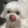 momokaa1119