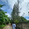 wongsemarangbarat