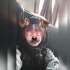 xyzchan_x