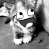 00vany__
