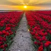 mohamed_90178