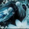 gaga.1367