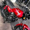 roberth563