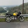 tigerpintubesi