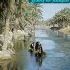 atefyousef112