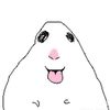 koadxai