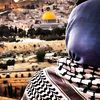 mariamibrahim628