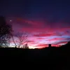 alyss_mainwaring