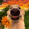 huuwx.phuocws_