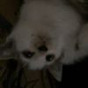 hi.qory
