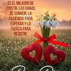 ever.giovani.mart