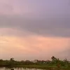 vaanngh_0708