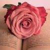 rosedanial87