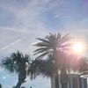 seashells.n.sunshine