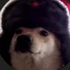 levi_da_homie