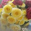 aman1234839grum
