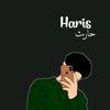 hsris28