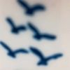 user7711952301710