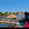 beruang_sagu07