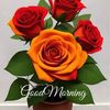 rawan98077