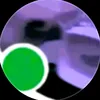 ls____313