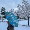 shkoahamanajeeb