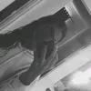 richellevieira3