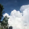 irnevoftgo