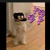 fufufufuhfhfhfh