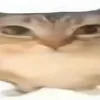 mqnhcry